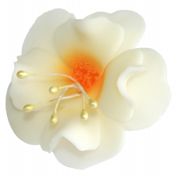 Kwiat cukrowy magnolia dekoracja tort biało-miodowa 1x